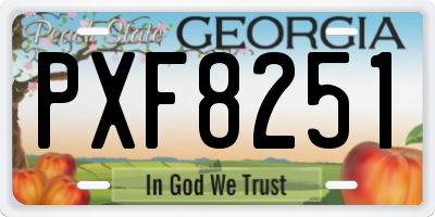 GA license plate PXF8251
