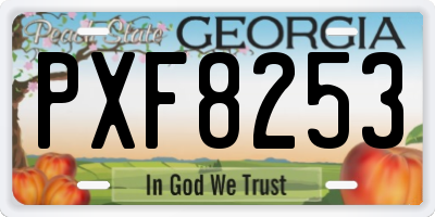 GA license plate PXF8253