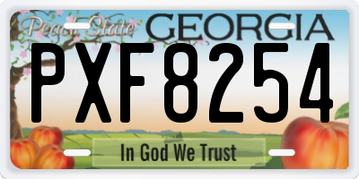 GA license plate PXF8254