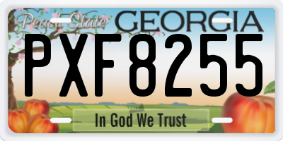 GA license plate PXF8255