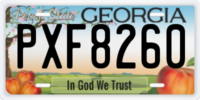 GA license plate PXF8260