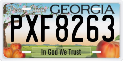 GA license plate PXF8263