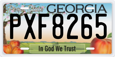 GA license plate PXF8265