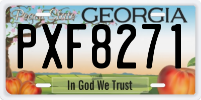 GA license plate PXF8271