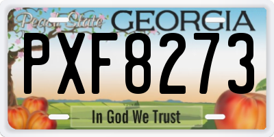 GA license plate PXF8273