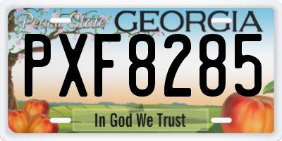 GA license plate PXF8285