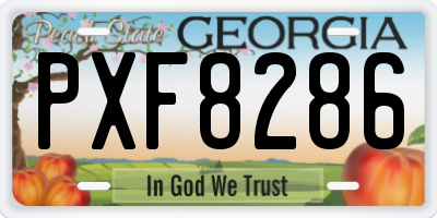 GA license plate PXF8286