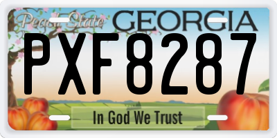 GA license plate PXF8287