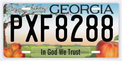 GA license plate PXF8288