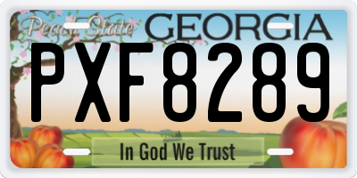 GA license plate PXF8289