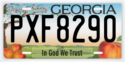 GA license plate PXF8290