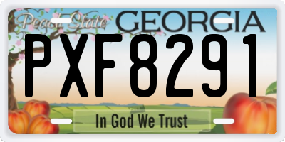 GA license plate PXF8291