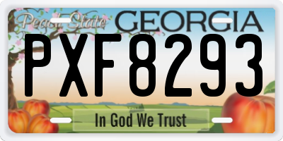 GA license plate PXF8293