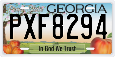 GA license plate PXF8294