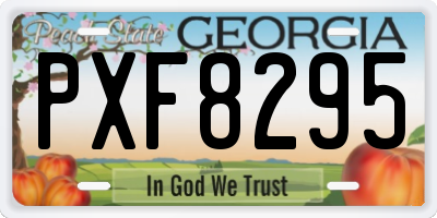 GA license plate PXF8295