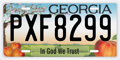 GA license plate PXF8299