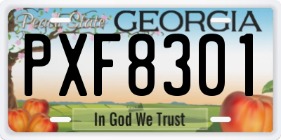 GA license plate PXF8301