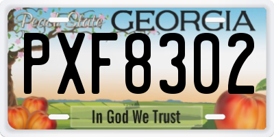 GA license plate PXF8302