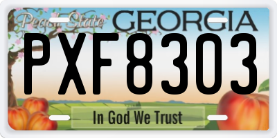 GA license plate PXF8303
