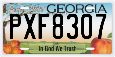 GA license plate PXF8307