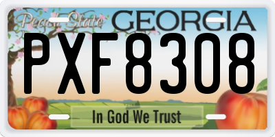 GA license plate PXF8308