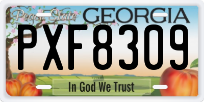 GA license plate PXF8309