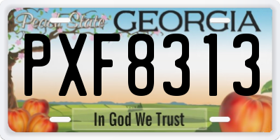 GA license plate PXF8313
