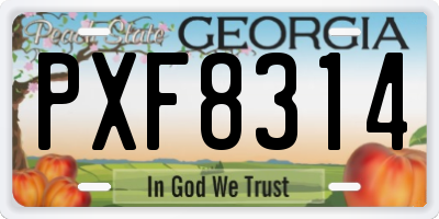 GA license plate PXF8314