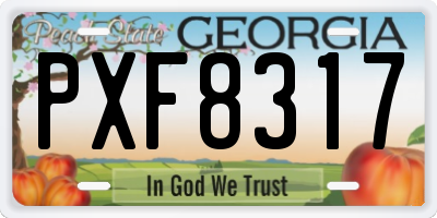 GA license plate PXF8317