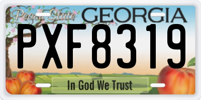 GA license plate PXF8319