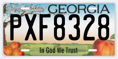 GA license plate PXF8328