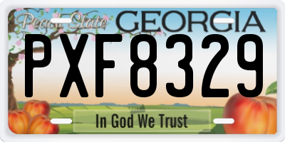 GA license plate PXF8329