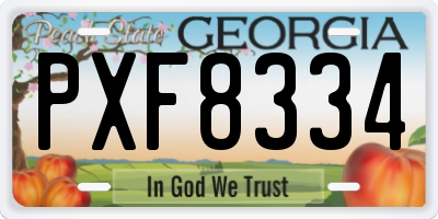 GA license plate PXF8334