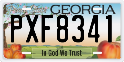 GA license plate PXF8341