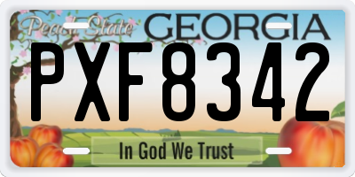 GA license plate PXF8342