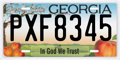 GA license plate PXF8345