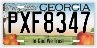 GA license plate PXF8347