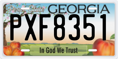 GA license plate PXF8351