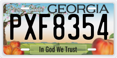 GA license plate PXF8354