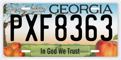 GA license plate PXF8363