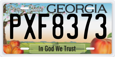 GA license plate PXF8373