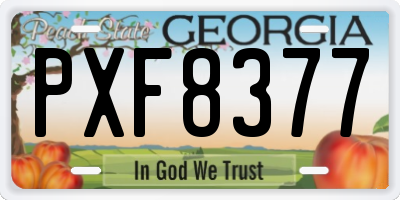 GA license plate PXF8377
