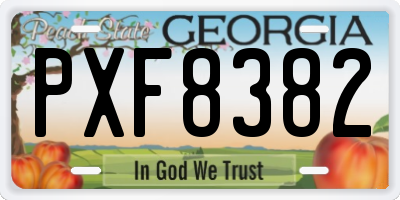 GA license plate PXF8382