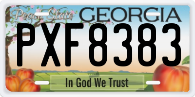 GA license plate PXF8383