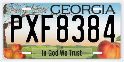 GA license plate PXF8384
