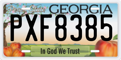 GA license plate PXF8385