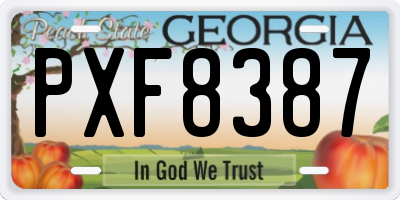 GA license plate PXF8387