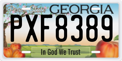 GA license plate PXF8389