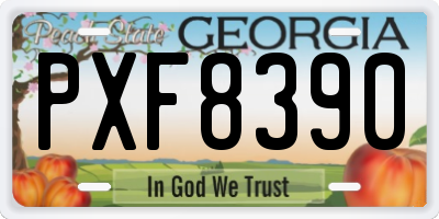 GA license plate PXF8390
