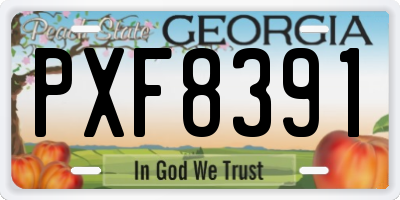 GA license plate PXF8391